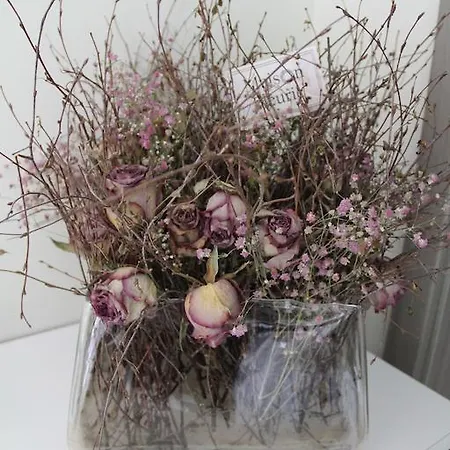 B&B Eti-Garden